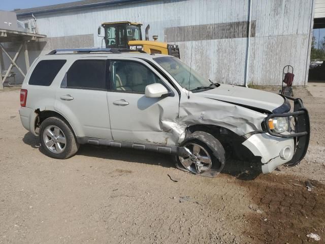 2009 Ford Escape Limited