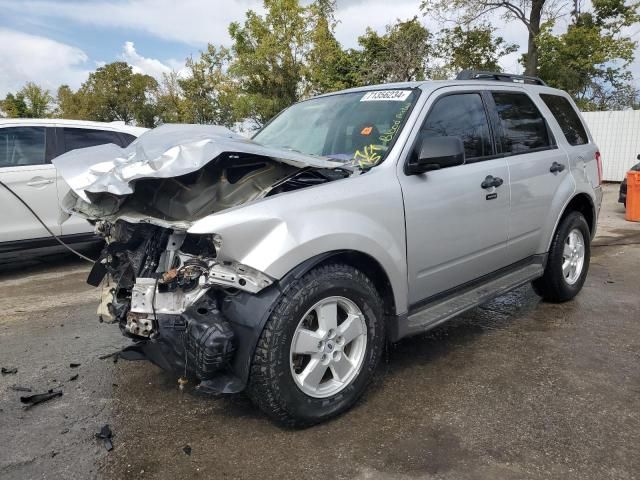 2010 Ford Escape XLT