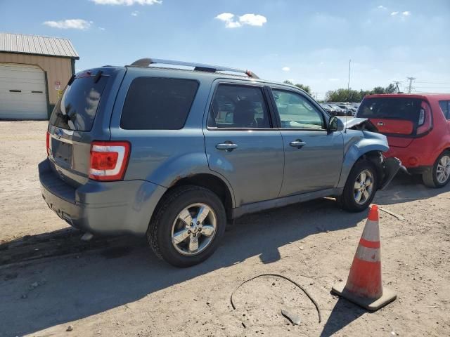 2010 Ford Escape Limited