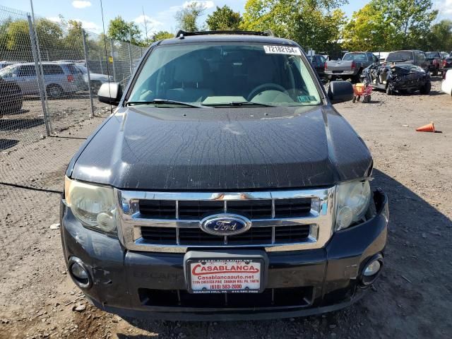 2011 Ford Escape XLT