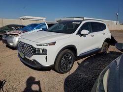 2023 Hyundai Santa FE SEL Premium en venta en Phoenix, AZ