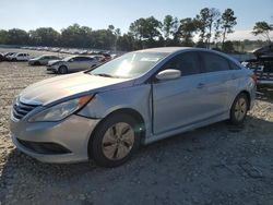 Salvage cars for sale at Byron, GA auction: 2014 Hyundai Sonata GLS