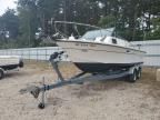 1975 Robalo Boat