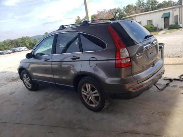 2010 Honda CR-V EXL