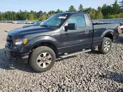 Ford salvage cars for sale: 2013 Ford F150