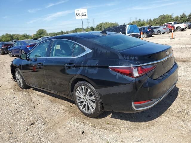 2021 Lexus ES 250 Base