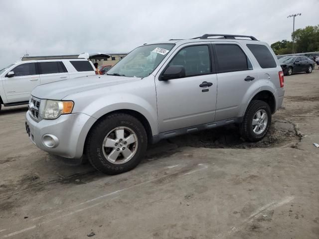 2012 Ford Escape XLT