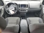 2004 Ford Escape XLT