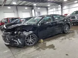 Salvage cars for sale at Ham Lake, MN auction: 2017 Lexus ES 350