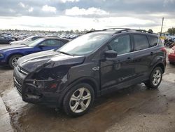 Salvage cars for sale at Sikeston, MO auction: 2013 Ford Escape SE