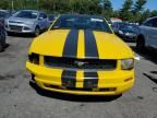 2005 Ford Mustang