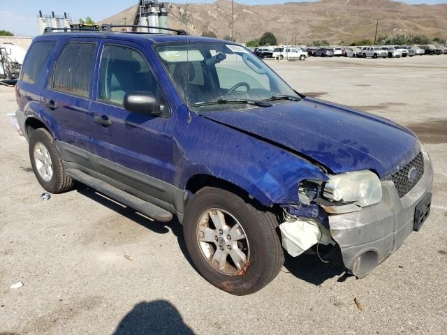 2005 Ford Escape XLT