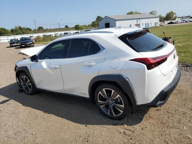 2019 Lexus UX 250H