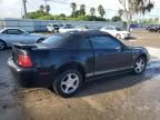 2004 Ford Mustang