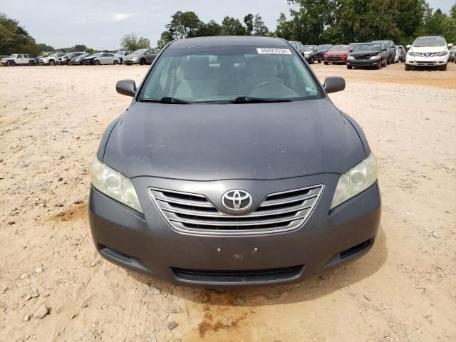 2009 Toyota Camry Hybrid