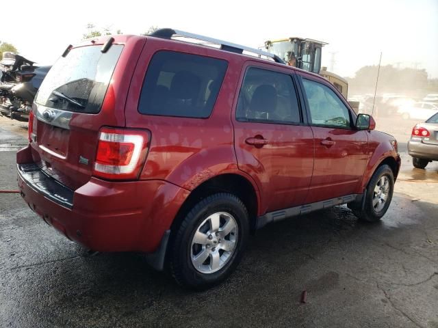 2011 Ford Escape Limited