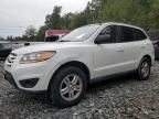 2010 Hyundai Santa FE GLS