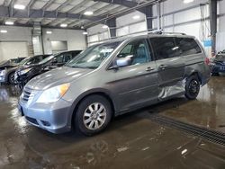 Salvage cars for sale at Ham Lake, MN auction: 2009 Honda Odyssey EXL