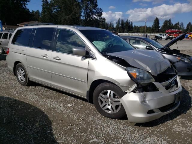 2005 Honda Odyssey EXL