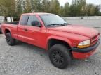 2000 Dodge Dakota