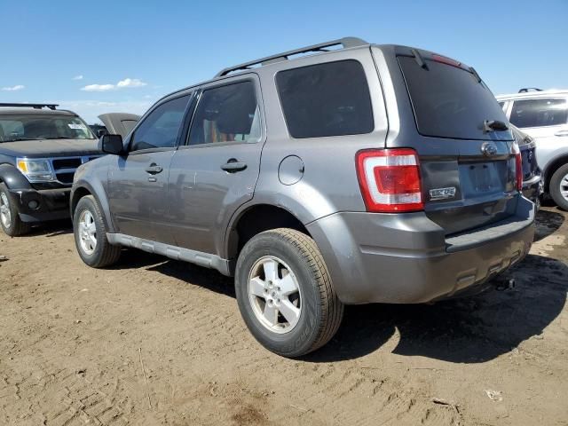 2010 Ford Escape XLT