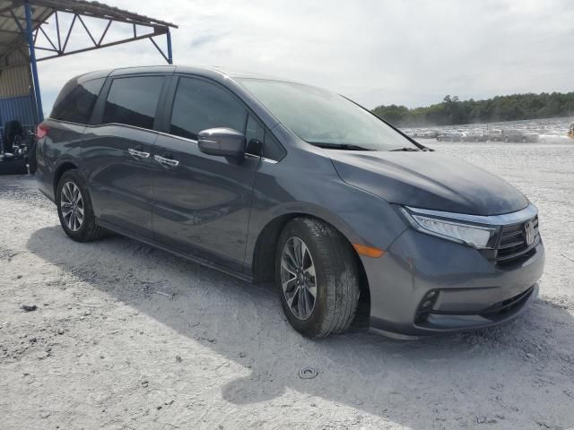 2023 Honda Odyssey EXL