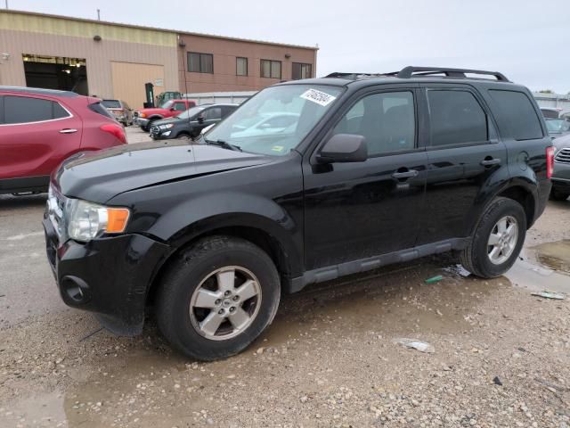 2010 Ford Escape XLT