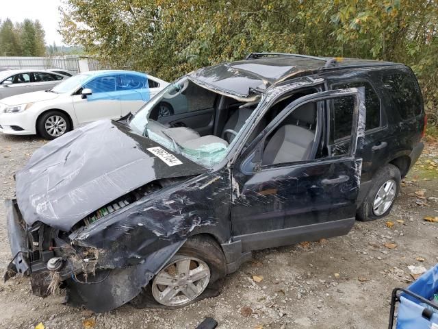 2006 Ford Escape XLS