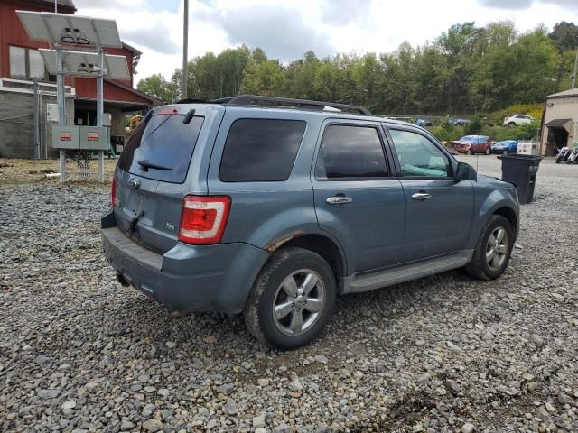 2010 Ford Escape XLT