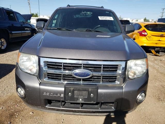 2009 Ford Escape XLT