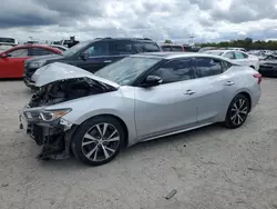 Salvage cars for sale at Indianapolis, IN auction: 2016 Nissan Maxima 3.5S