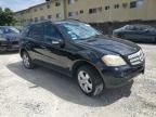 2006 Mercedes-Benz ML 500