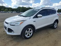 Ford salvage cars for sale: 2014 Ford Escape SE