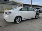 2010 Lexus HS 250H