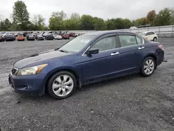 Honda salvage cars for sale: 2009 Honda Accord EXL