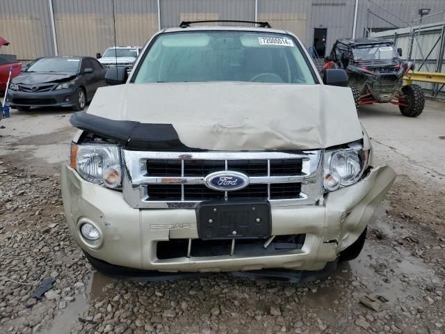 2010 Ford Escape XLT