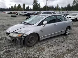 Honda salvage cars for sale: 2010 Honda Civic LX