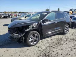 Salvage cars for sale at Eugene, OR auction: 2023 Ford Escape ST Line Select