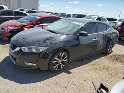 Salvage cars for sale at Tucson, AZ auction: 2016 Nissan Maxima 3.5S