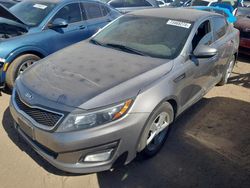 Salvage cars for sale at Brighton, CO auction: 2015 KIA Optima LX