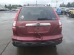 2007 Honda CR-V EXL