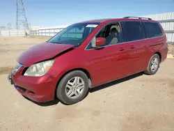 2006 Honda Odyssey EXL en venta en Adelanto, CA