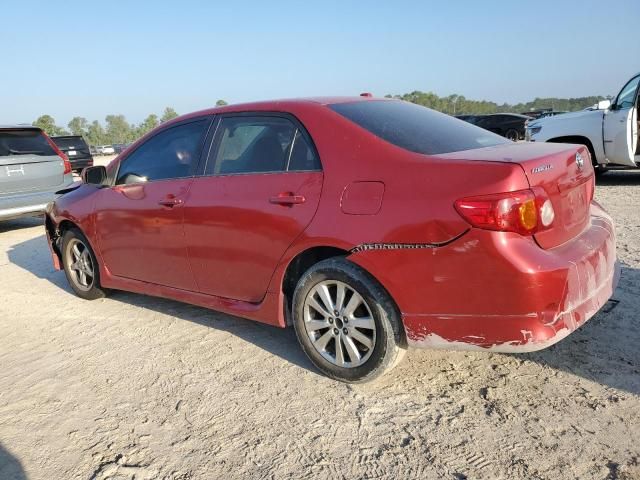 2009 Toyota Corolla Base