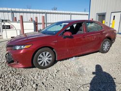 Toyota salvage cars for sale: 2020 Toyota Camry LE