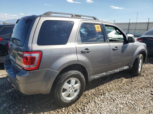 2012 Ford Escape XLT