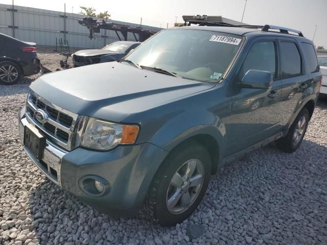 2011 Ford Escape Limited