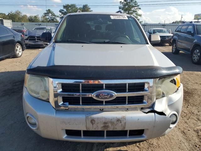 2008 Ford Escape XLT