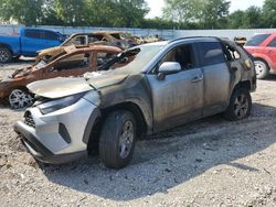 Salvage cars for sale at Lexington, KY auction: 2023 Toyota Rav4 XLE