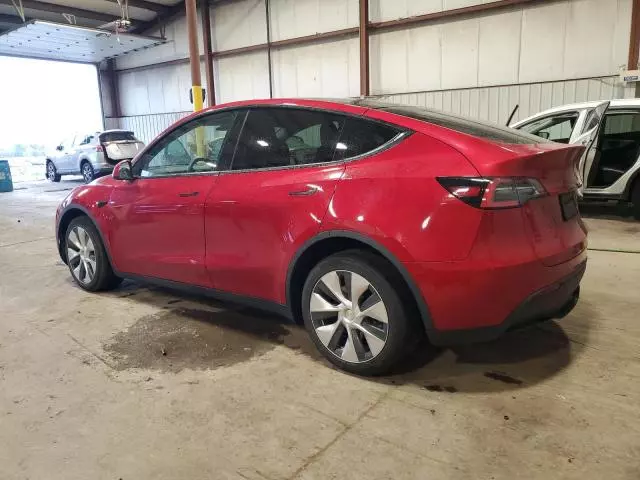 2020 Tesla Model Y