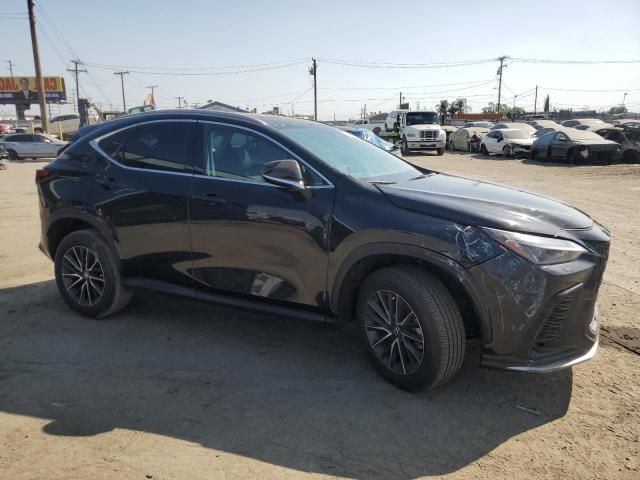 2024 Lexus NX 250 Base